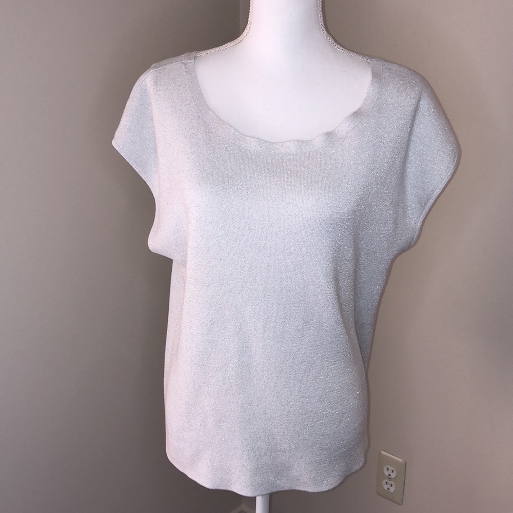 Talbots Knit Sweater Top Grey and Sliver